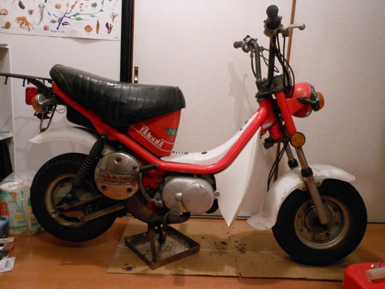 チャッピーがやってきた！